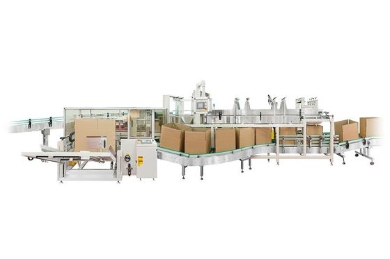 Drop Type Case Packer